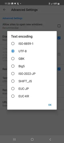 Text Encodings capabilities of XNXUBD VPN Browser Appliation